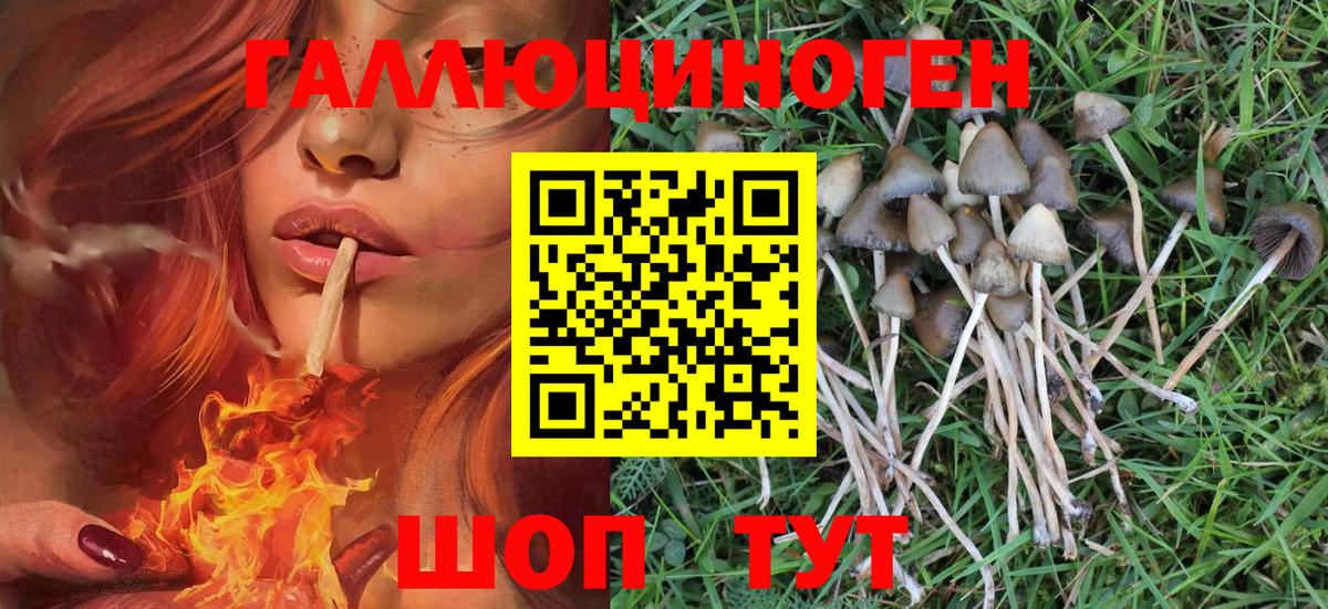 Псилоцибиновые грибы MAGIC MUSHROOMS  Вход с VPN  Псилоцибиновые грибы GOLDEN TEACHER  Янаул 